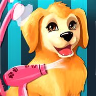 Become A Puppy Groomer Become A Puppy Groomer