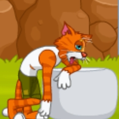 Catastrophe Catastrophe
